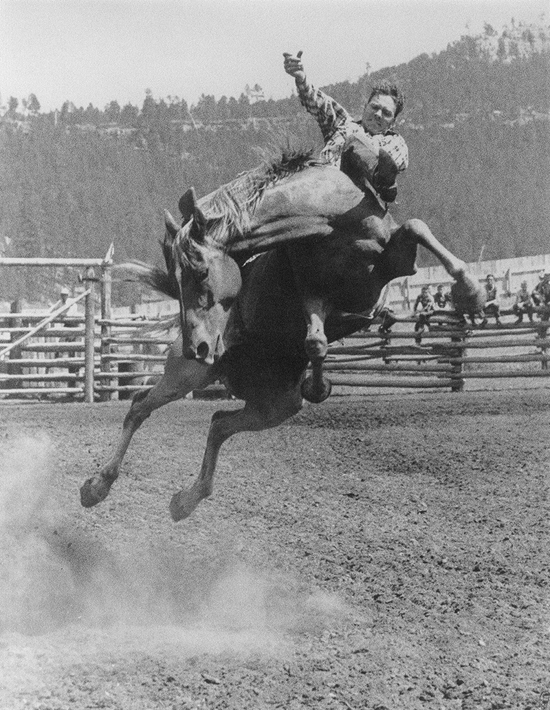 Casey riding Easy Money Bronc CROP for web